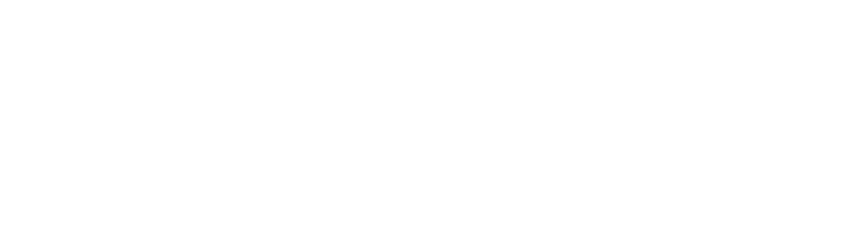 New Voice